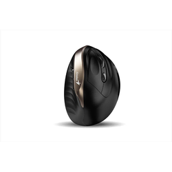 GENIUS miš bežični usb genius ergo 8250s šampanjsko zlato