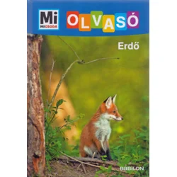 Erdő