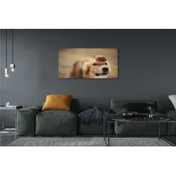 tulup.si Slika na platnu Pes bun 140x70 cm