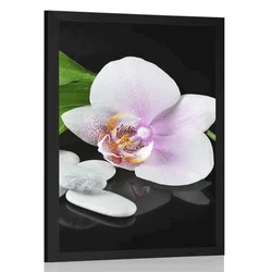 Plakat zen kamni in orhideja - 20x30 silver