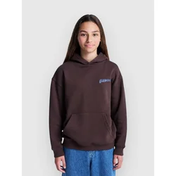 Element Sunrise Kids Hoodie java