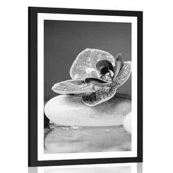 Plakat s paspartujem orhideja in Zen kamni v črnobeli varianti - 20x30 black