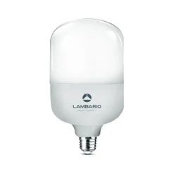 LED E-27 25-30W T80 6400K Lambario