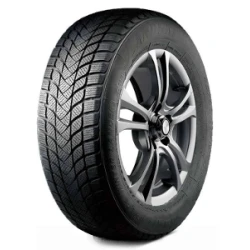 Landsail Winter Lander 165/70 R14 81T
