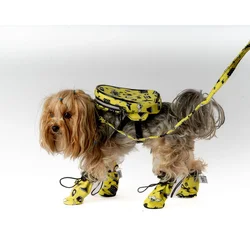 Žute cipele za pse - Yellow Dog Shoes