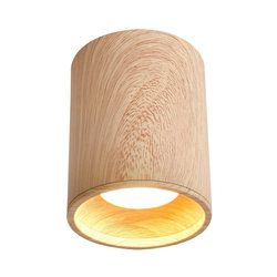 Plafonska svetiljka TUBA GU10/15W/230V