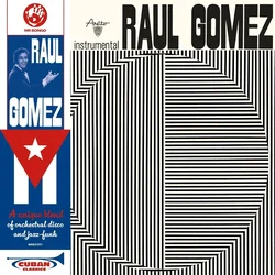 Raul Gomez - Raul Gomez (LP)