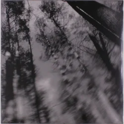 Loess - Totems (Limited Edition) (LP)