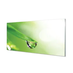 tulup.si Slika na steklu Drop listov sonce 140x70 cm 2 obešalnika