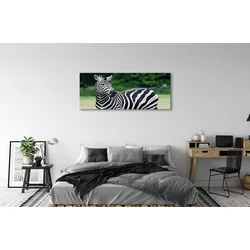 tulup.si Slika na platnu Zebra polje 125x50 cm