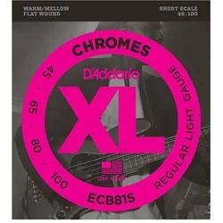 DAddario ECB 81S Chromes Bass Regular Light 45-100