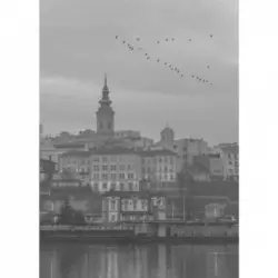 AM FOTO Jato ptica iznad Beograda - fotografija na platnu - BN117 B/W Beograd, Noć, Crno-Bela, 30 x 50