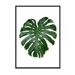 shumee SLIKA, PLAKAT V OKVIRJU 43x33 cm List 1 P569