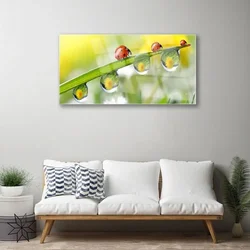 tulup.si Slika na steklu Leaf ladybugs narava 100x50 cm 4 obešalnika
