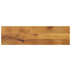 Ploča stola 120x20x3,8 cm Pravokutna Masivno Drvo Mango