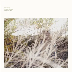 Luke Temple - A Hand Through The Cellar Door (LP)