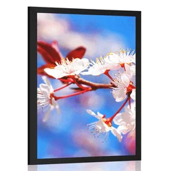 Plakat češnjev cvet - 30x45 silver
