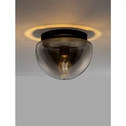 EBONY PLAFONJERA MATT CRNA LED E27 1x12W 100-240V IP20