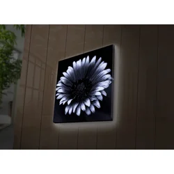 Zidna slika sa LED osvetljenjem 4040DACT-33, 40x40 cm