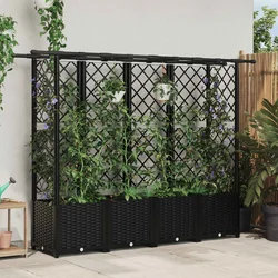 Povišeni krevet s mrežom i krovom Crna 203 x 40 x 138 cm PP