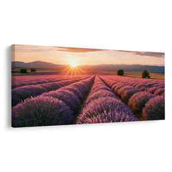 Slika vijolična sivka v pokrajini - 120x60