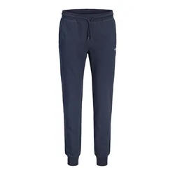 Jack & Jones Plus Hlače JPSTGORDON marine/bela