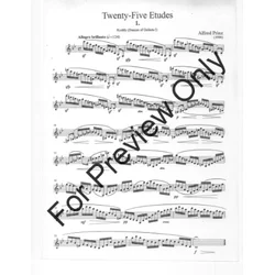 PRINZ:25 (TWENTY FIVE) ETUDES,CLARINET