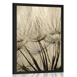 Plakat semena regrata v sepia varianti - 60x90 silver