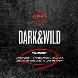 BTS - Dark And Wild (1st Full Album), Deluxe (CD)