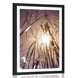 Plakat s paspartujem poljska trava - 20x30 black