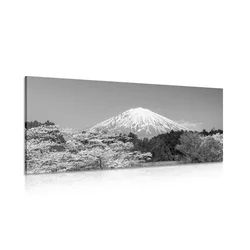 Slika gora Fuji v črnobeli izvedbi - 100x50