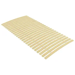 Vidaxl Nadomestne letvice za posteljo s 24 letvicami 100x200 cm