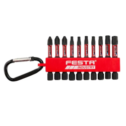 FESTA Set od 10 komada Bitova PH-PZ-TORX S2 1/4 50mm