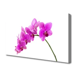 tulup.si Slika na platnu Orchid cvet orhideje 100x50 cm