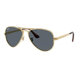 Ray-Ban RB3925 001/R5