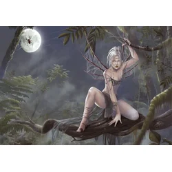 Grafika Puzzle Spiders soul Arachne 1000 kosov