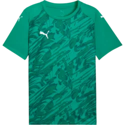 Puma Dres teamFINAL Graphic