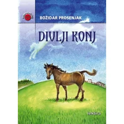 Divlji konj