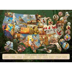 Cobble Hill - Puzzle Državne ptice Amerike - 1 000 kosov