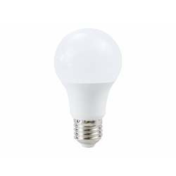 RABALUX 79036 SMD LED E27 9W sijalica