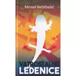 Vatrostalne ledenice