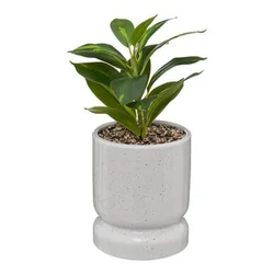 ATMOSPHERA VESTACKA BILJKA U SAKSIJI 30 CM