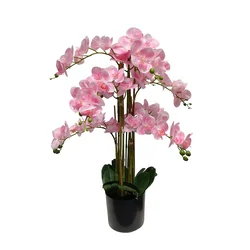 Umetna orhideja roza 80cm Eterna Real touch - roza - 76 do 100 cm - 31 do 50 cm