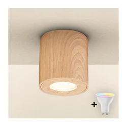 Brilagi - LED RGBW kupatilsko svetlo MIA, prigušiva, 1xGU10/6W/230V 84x80 mm IP44