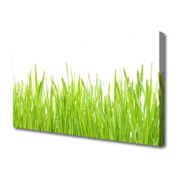 tulup.si Slika na platnu Grass nature rastlin 125x50 cm