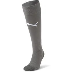 Puma Team LIGA Socks
