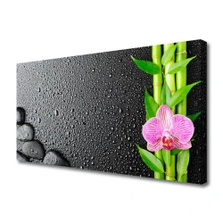 tulup.si Slika na platnu Bambus stem flower rastlin 100x50 cm