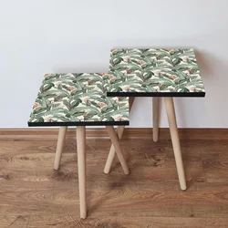 Hanah Home Set klub stočića 2Shp200, 2 komada, Šareni