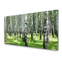 tulup.si Slika na steklu Forest grass nature rastlin 100x50 cm 4 obešalnika