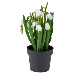 FEJKA Veštačka biljka u saksiji, unutra/spolja/visibaba bela, 9 cm